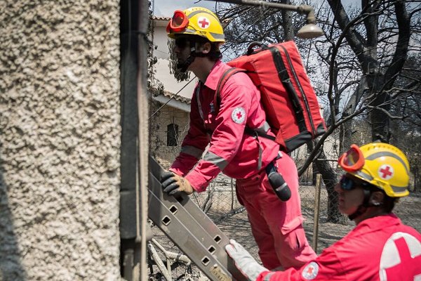 Summer wildfires continue to cause havoc in northern hemisphere