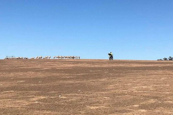 Australian Red Cross launches month-long appeal for farmers struggling against the #BigDry
