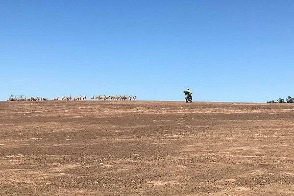 Australian Red Cross launches month-long appeal for farmers struggling against the #BigDry