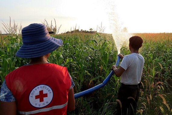 north-korea-declares-emergency-over-heatwave-threat-to-people-and-crops