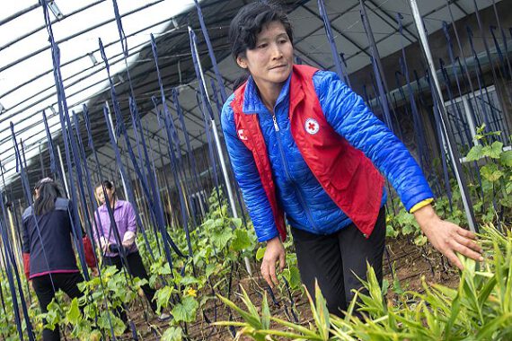 ifrc-extreme-weather-intensifies-a-chronic-forgotten-crisisa-in-north-korea