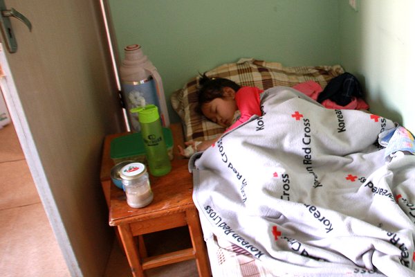 Influenza and extreme cold among ‘deadly risks’ combining against Mongolia’s children