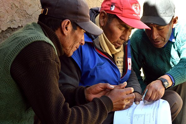 ‘Early action protocol’ in place to protect Peru’s alpaca herders