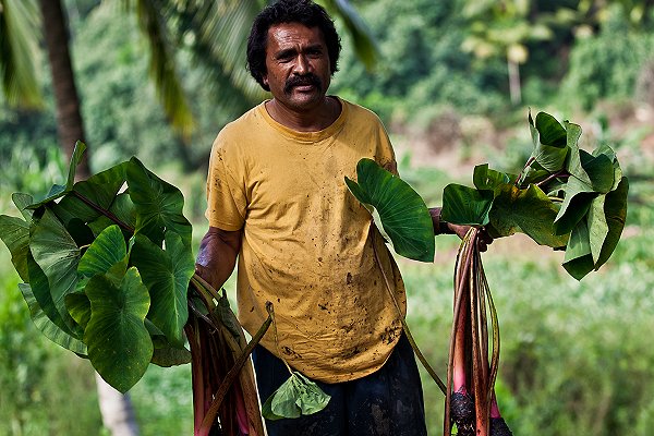 Cook Islands prepares for ‘early action rainfall watch’