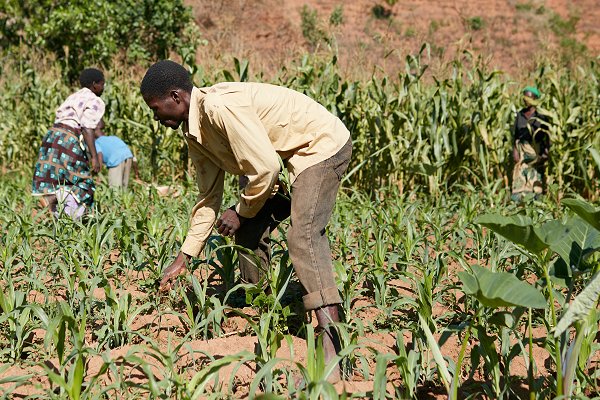 ‘Urgent action needed for countries in Southern Africa threatened by drought’