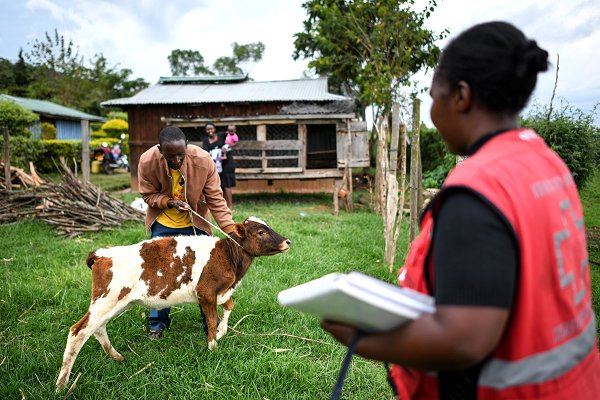 New  will help Kenyan farmers plan for both drought and floods