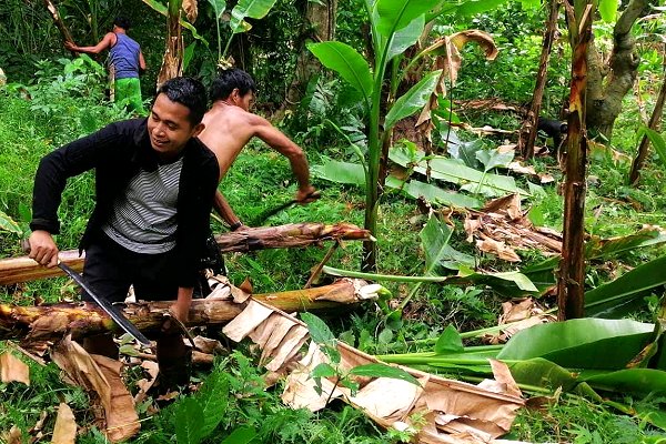 Forecast-based financing operation underway as Typhoon Kammuri bears down on Philippines