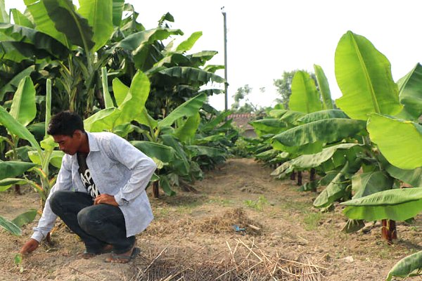 ‘Nepal villages learn to cope with climate crisis’