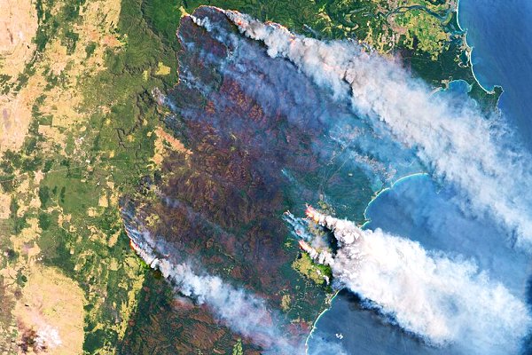 International scientists launch climate attribution study of Australian bushfires as smoke ‘circles the globe’