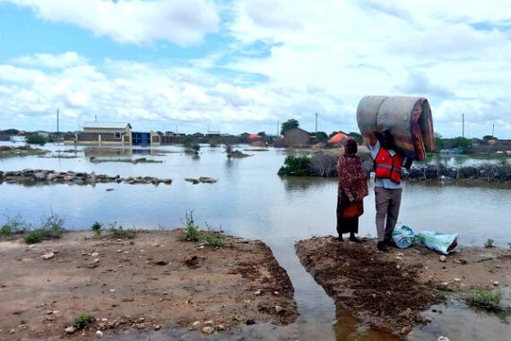 fbf-potential-in-africa-boosted-by-new-reporting-points-on-rivers-in-four-countries