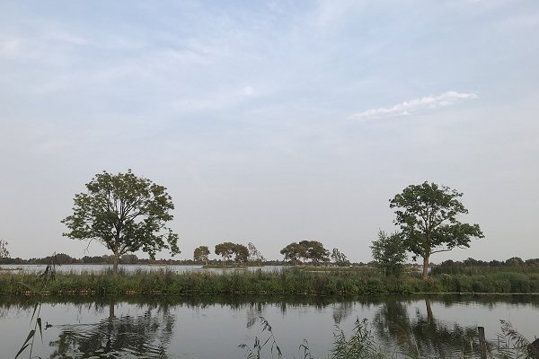 Smoke from US wildfires reaches Europe – ‘massive relief effort’ by American Red Cross