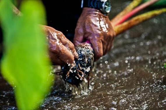 new-unep-programme-centred-on-early-warning-will-support-climate-resilience-in-pacific-island-nations