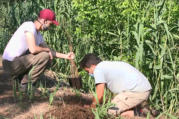 Europe plants seeds for stronger adaptation to ‘unavoidable’ climate change