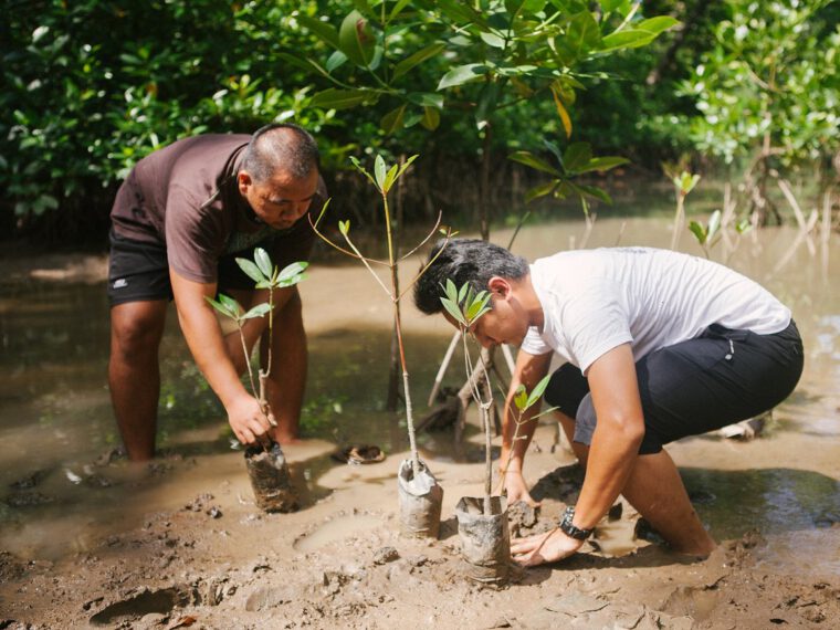 IFRC, WWF call for nature-based solutions to alleviate climate crisis and save lives