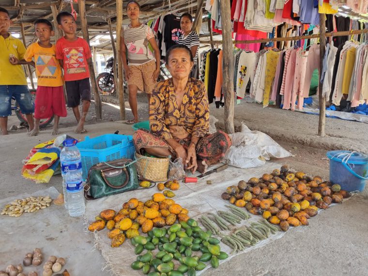 Blog: Mapping for anticipatory action in Timor-Leste