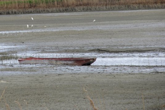 Bleak vision from Croatia wins climate-themed photo contest for Mediterranean youth