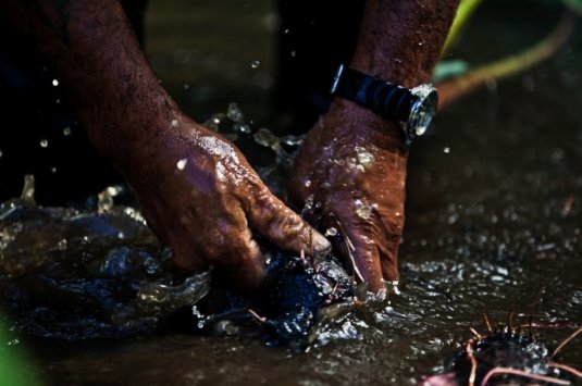 Cook Islanders struggle to adapt to creeping climate change