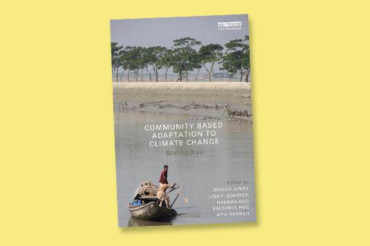 ‘Community-based adaptation’: the future