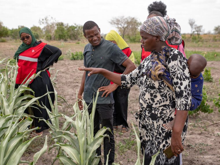 Kenya Red Cross early-action seeds help farmers beat drought