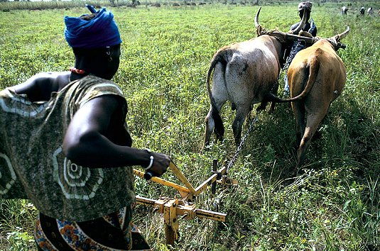 In fight against extreme poverty,  World Bank to screen investments  for ‘climate and disaster risk’