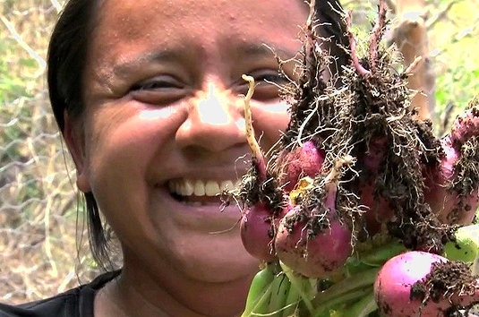 cultivating-resilience-in-guatemala-agreement-to-consolidate-inter-institutional-cooperation