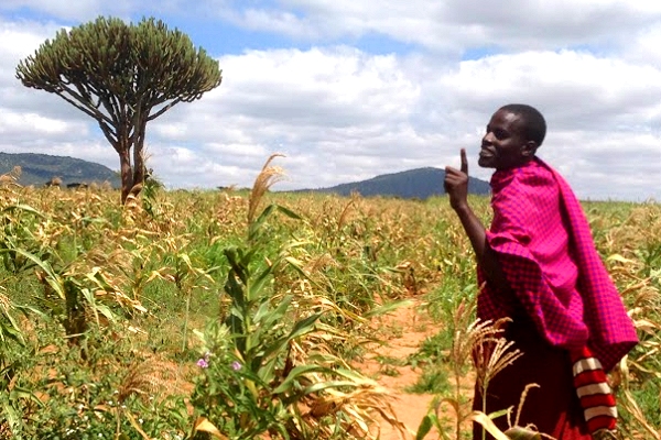 ‘The rains are different now’: Demonstrating climate services for farmers in Tanzania