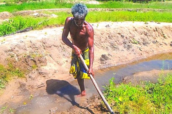 helping-sri-lankan-farmers-become-climate-smart-in-a-changing-world