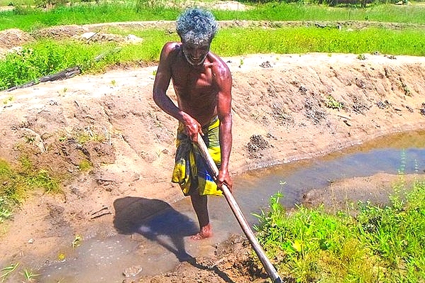 Helping Sri Lankan farmers become climate smart  in a changing world