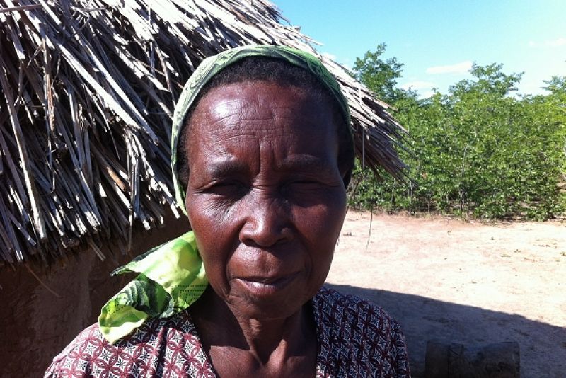 IFRC renews appeal to donors as ‘drought, erratic rains and floods’ halve yields for Southern Africa farmers