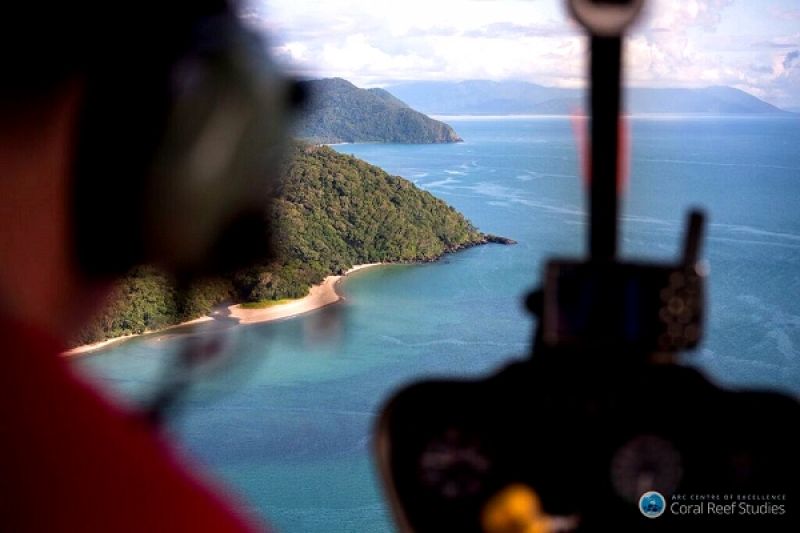 Coral bleaching on Great Barrier Reef ‘the worst in its history’, say Australian scientists