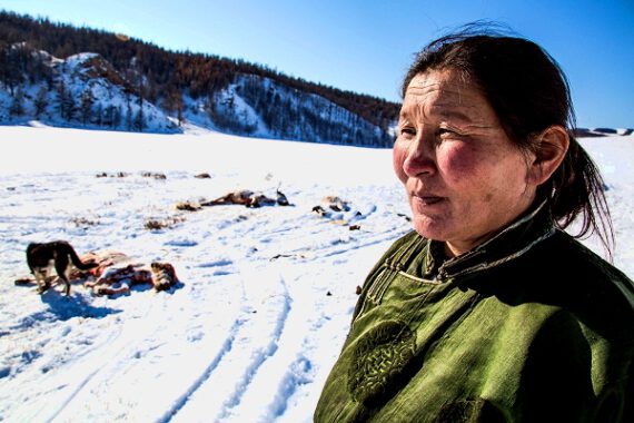 ifrc-mongolian-herders-need-aid-to-weather-second-big-freeze