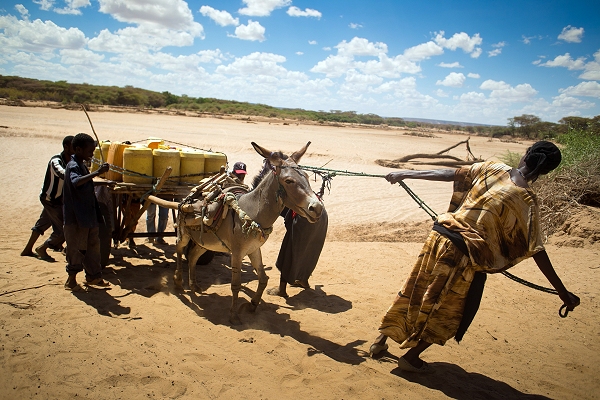 The struggle for water in Kenya: Red Cross drone video shows grip of drought as global appeal raised to $25m