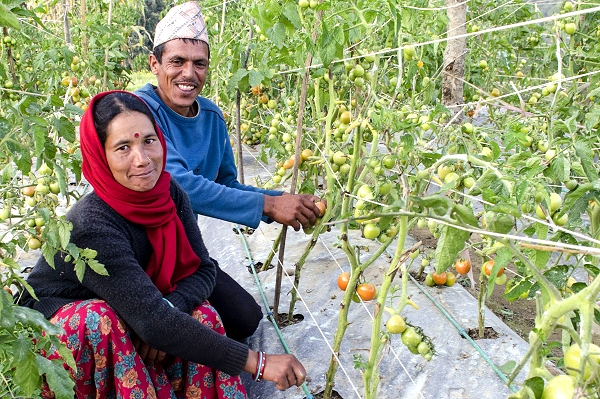 UK-supported climate-resilience programme  issues major progress report at 2-year mark