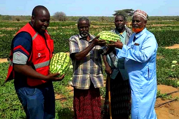 ‘5,000 families now eat better and pay school fees in Garissa’