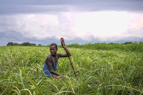 Conflict and climate change in South Sudan