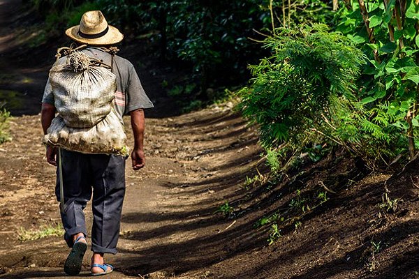 Climate impacts could displace 140m people by 2050 without ‘concerted global action’, says World Bank