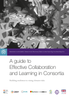 A Guide to Effective Collaboration and Learning in Consortia