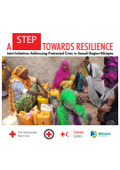 A step towards resilience: Joint initiatives addressing protracted crisis in Ethiopia’s Somali Region