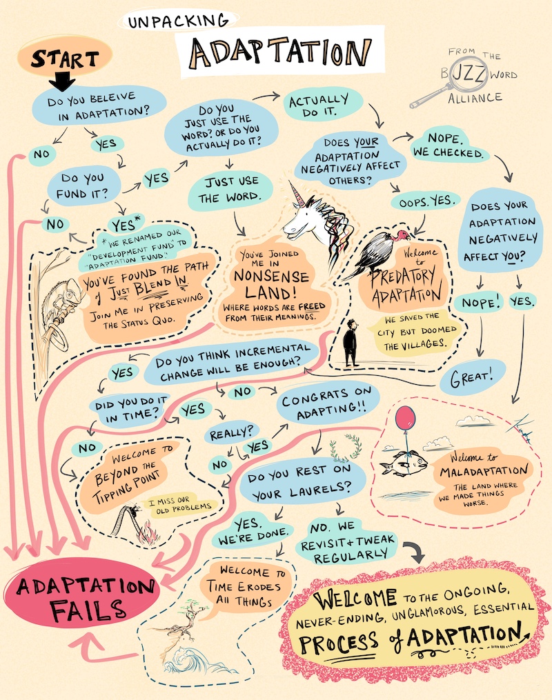 Unpacking Adaptation in 2022