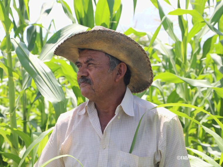 ‘Anticipatory action closes the gap between “we knew” and “we acted”’