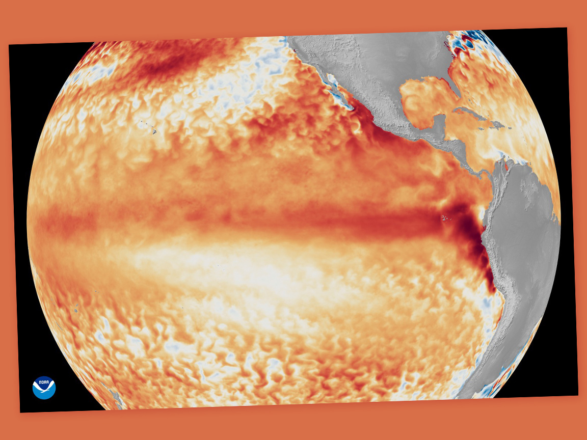 US scientists: Now fully formed El Niño more likely than not to reach ‘very strong’ status