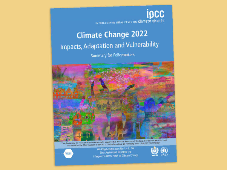 IPCC scientists confirm climate change contributing to humanitarian crises worldwide
