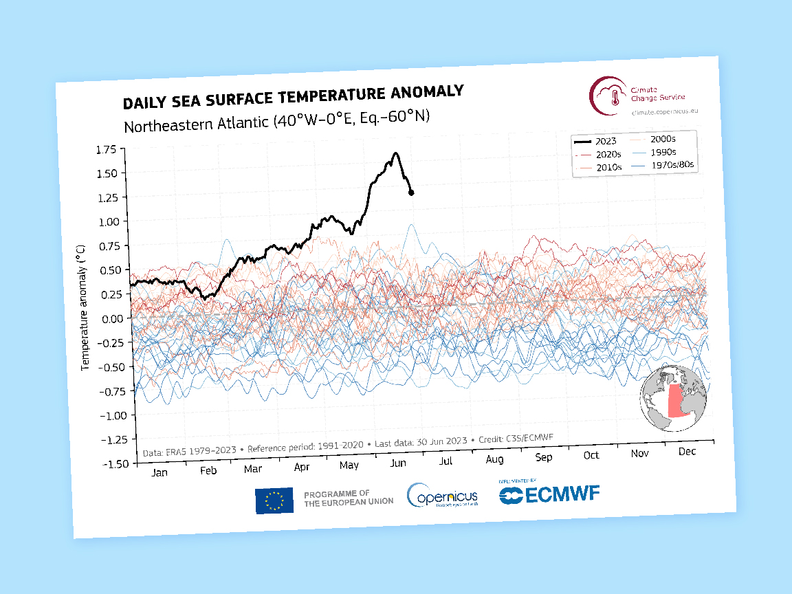 Preliminary data shows the world just had the hottest week on record