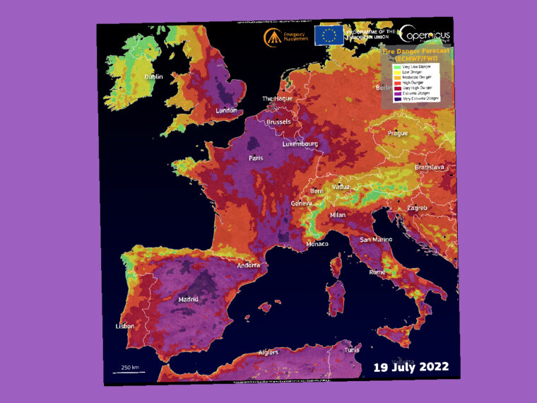 Study: Climate change made this year’s northern summer droughts at least 20 times more likely