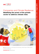 Companies and climate resilience: Mobilizing the power of the private sector to address climate risks