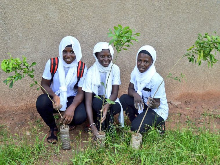 One million trees to protect vulnerable Gambian communities