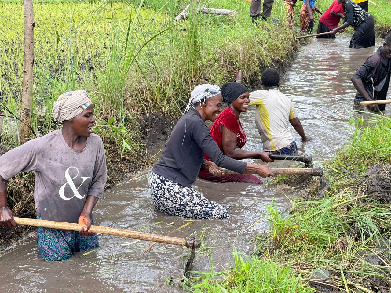 African National Societies face opposite impacts from El Niño