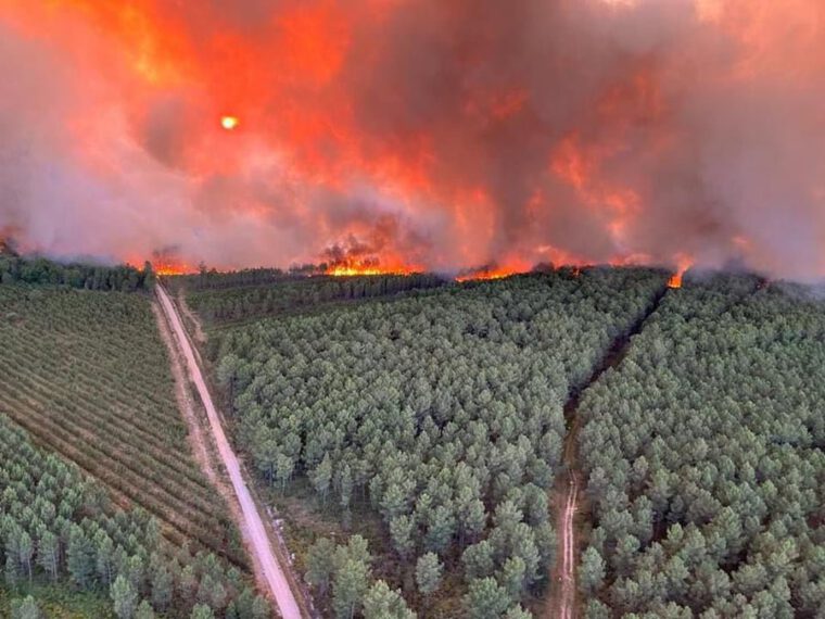 IFRC warns intensifying heatwave in Europe could have tragic consequences