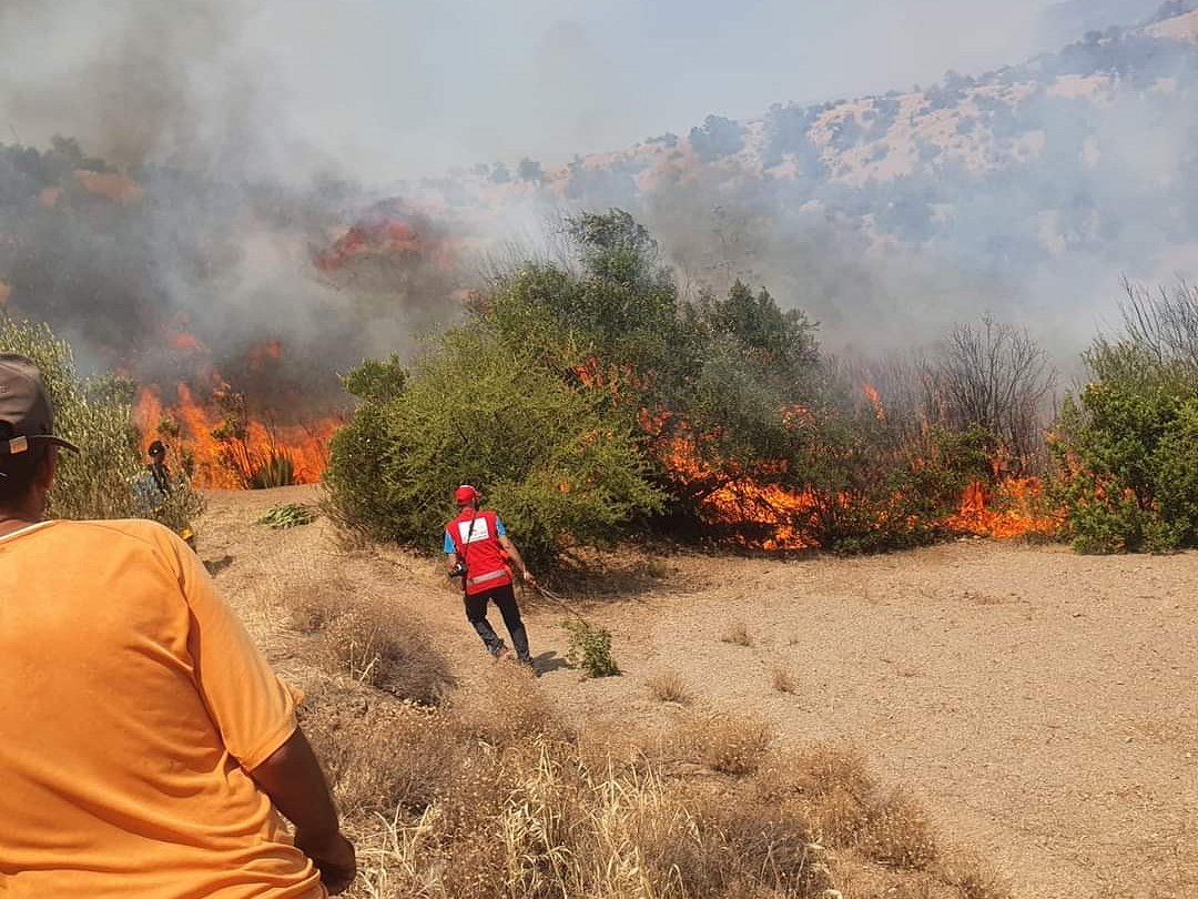 WFP and IFRC join forces to face anticipated climate shocks in the Middle East and North Africa