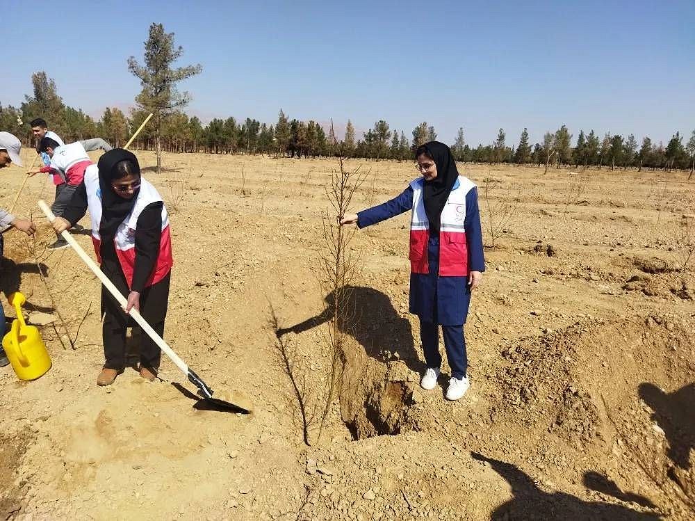 10,000 young Red Crescent volunteers in Iran plant ten trees each for people and planet